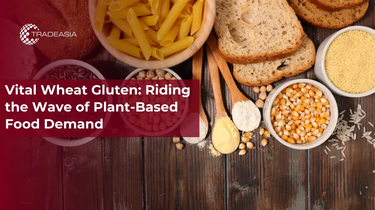 Vital Wheat Gluten: Riding the Wave of Plant-Based Food Demand