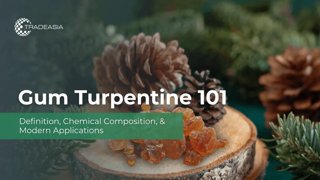 Gum Turpentine 101: Definition, Chemical Composition, and Modern Applications