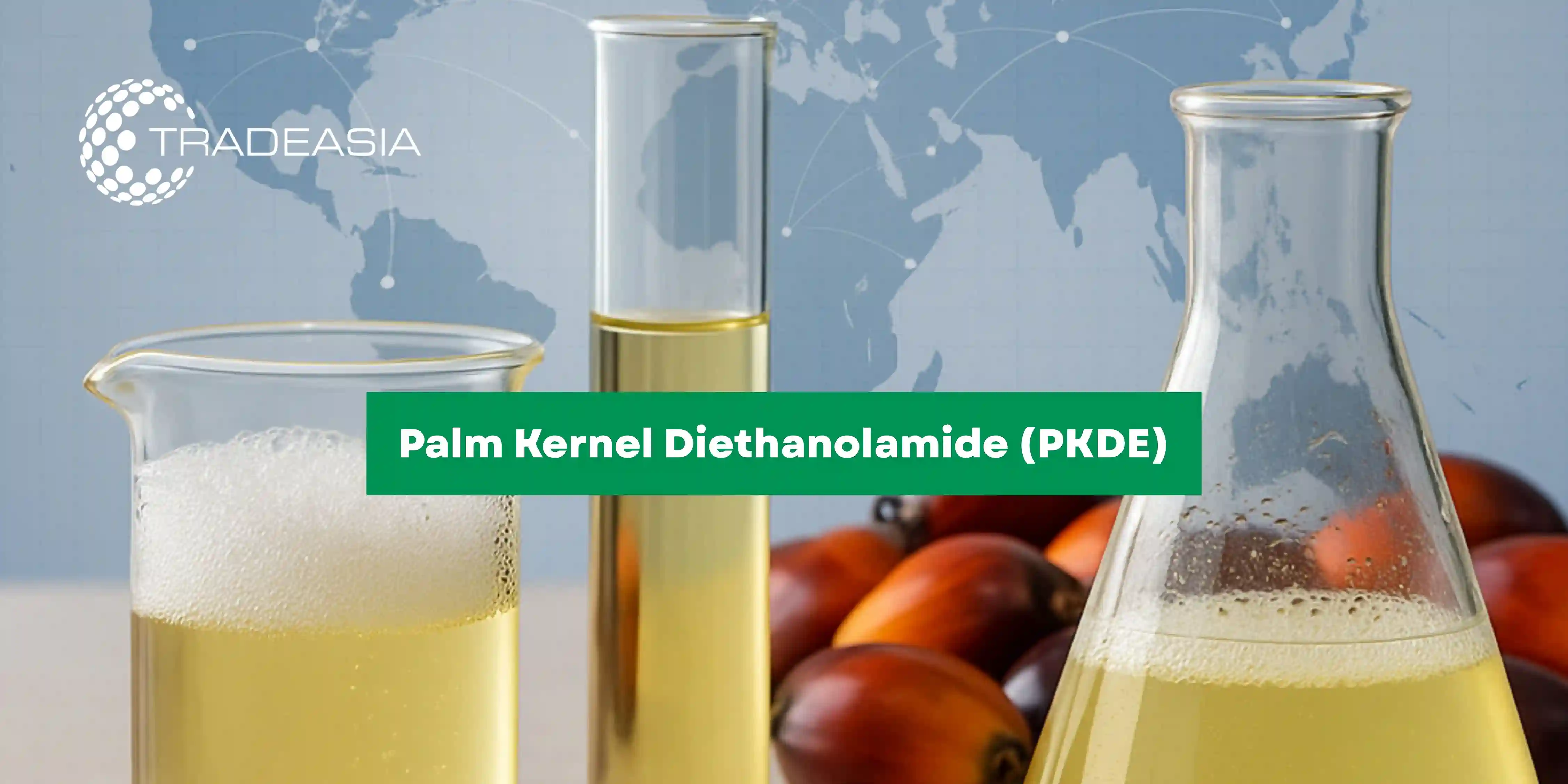 Perspectivas del mercado de dietanolamida de palmiste 2025-2033: tendencias, crecimiento y oportunidades