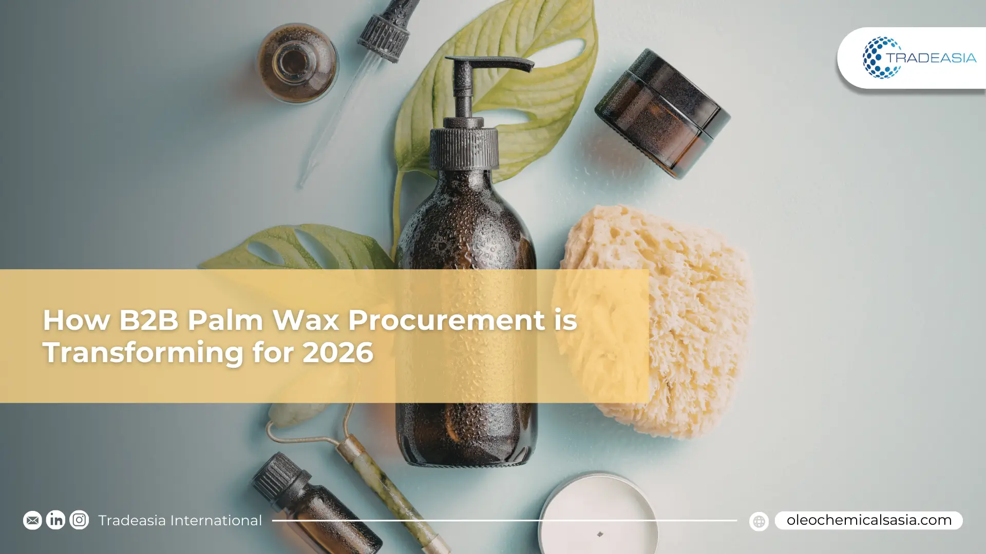 The Green Chemistry Pivot: Wie sich die B2B-Beschaffung von Palmwachs für 2026 verändert