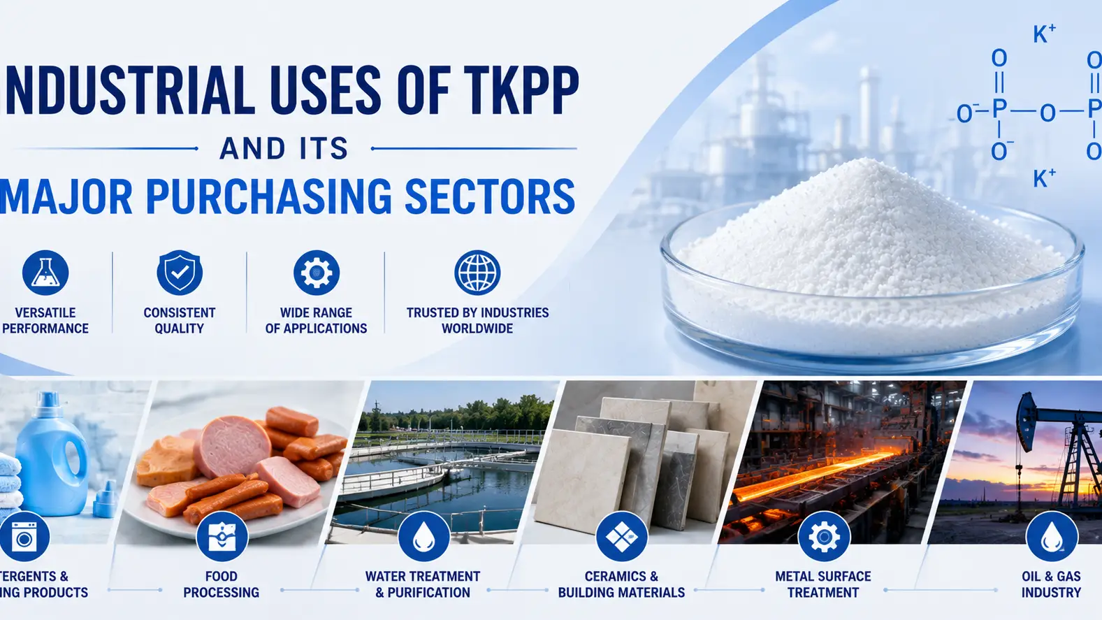 Industrial Uses of TKPP and Its Major Purchasing Sectors