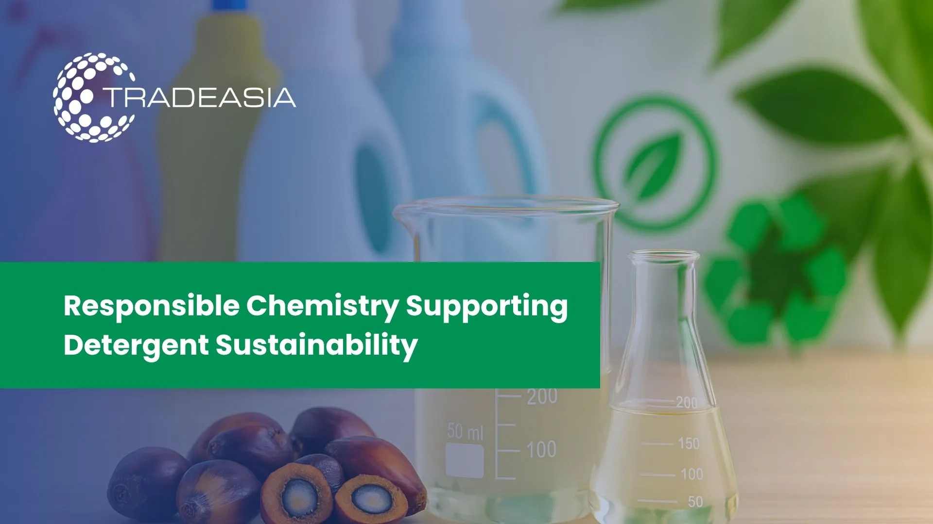 Sustainability of Palm Kernel Diethanolamide in Detergent Manufacturing