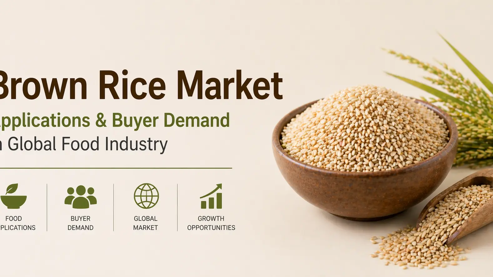 Brown Rice Market Applications & Buyer Demand in Global Food Industry