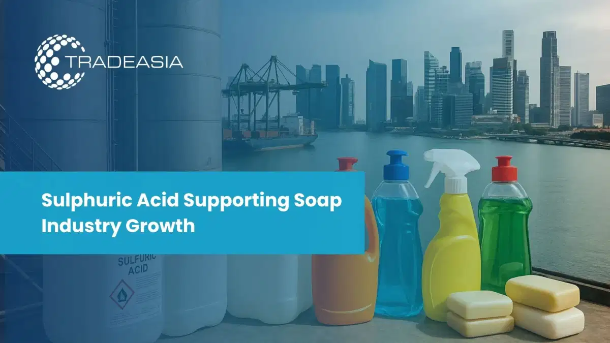 硫酸市场洞察:肥皂和清洁化学品行业的增长驱动力